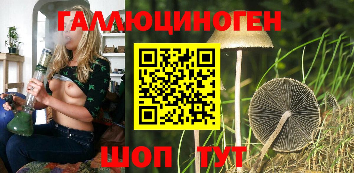 Псилоцибиновые грибы мицелий Новокузнецк