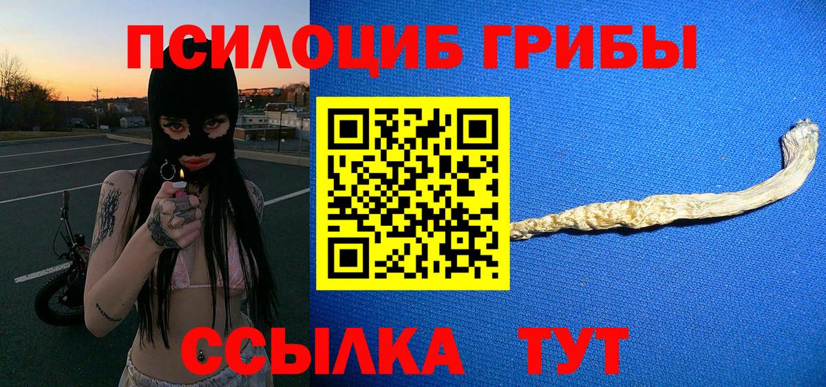 Новокузнецк  наркотики  Вход с VPN  Галлюциногенные грибы Psilocybine cubensis 